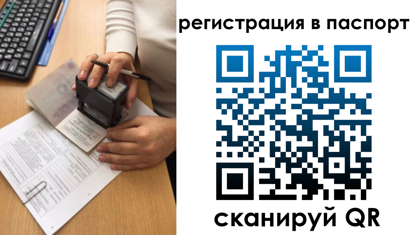 миграционный учет в Светлогорске