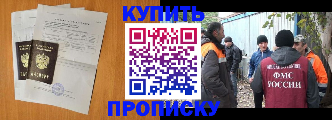 где прописаться в Светлогорске