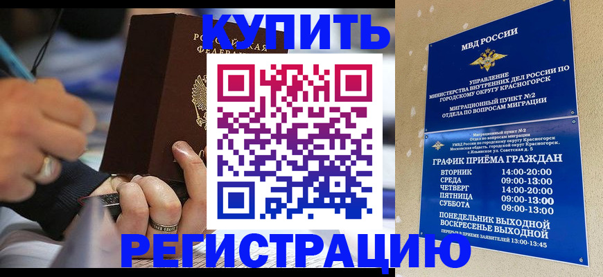 временная регистрация 2025 в Светлогорске